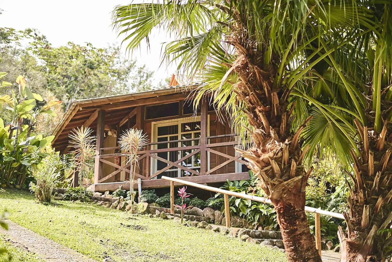 WhatsApp Image 2025-11-04 at 11.47.24 (1)